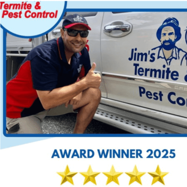 Pest Control Darwin: Protect Your Home and Business with Professional Solutions