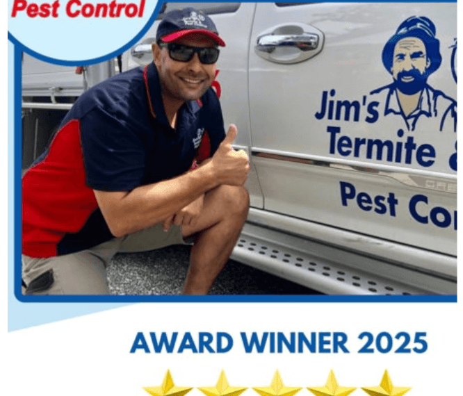 Pest Control Darwin: Protect Your Home and Business with Professional Solutions