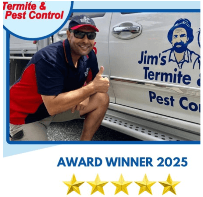 Pest Control Darwin: Protect Your Home and Business with Professional Solutions
